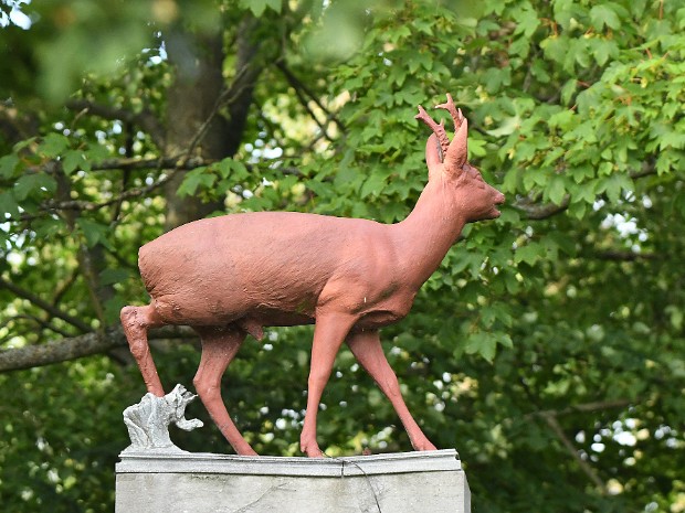01-07-2020 Hertenkamp Wassenaar
