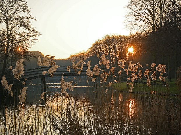 07-02-2020 Oosterbeek en Haagse Bos