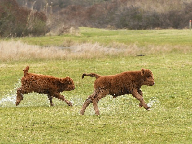 07-03-2020 Wassenaar Lentevreugd
