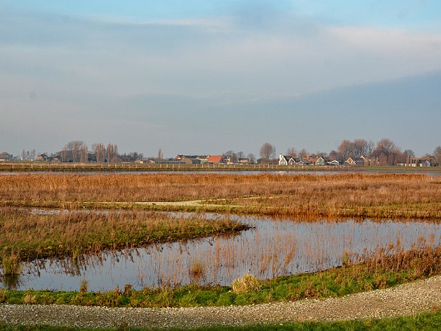 08-12-2020 Nieuwe Driemanspolder
