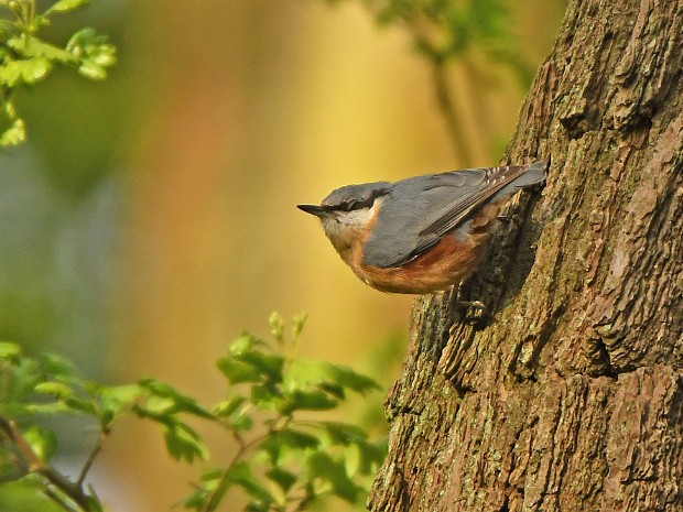 13-04-2020 Landgoed Marlot