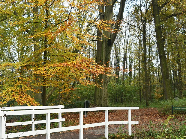 13-11-2020 Landgoed Oosterbeek