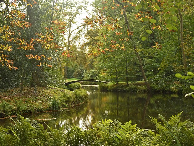 14-10-2020 Voorschoten Berbice