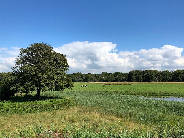 17-07-2020 Wassenaar Voorlinden