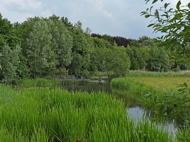 18-06-2020 Hertenkamp Wassenaar