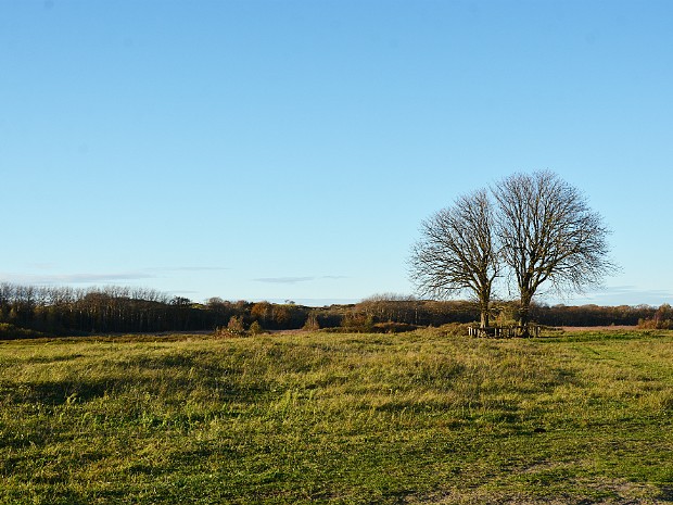 18-11-2020 Wassenaar Lentevreugd