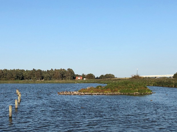 19-09-2020 Vogelplas Starrevaart