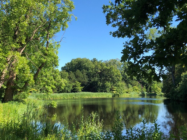20-06-2020 Kasteelpark Duivenvoorde