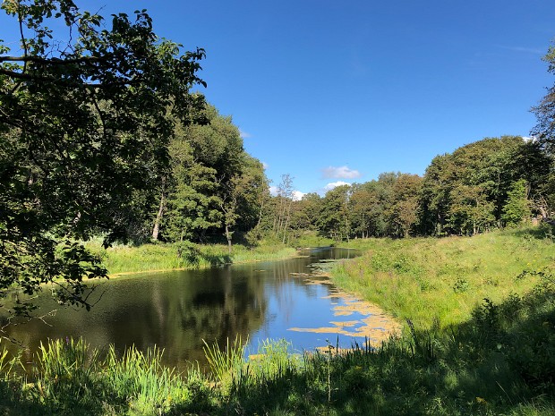 21-07-2020 Westduinpark