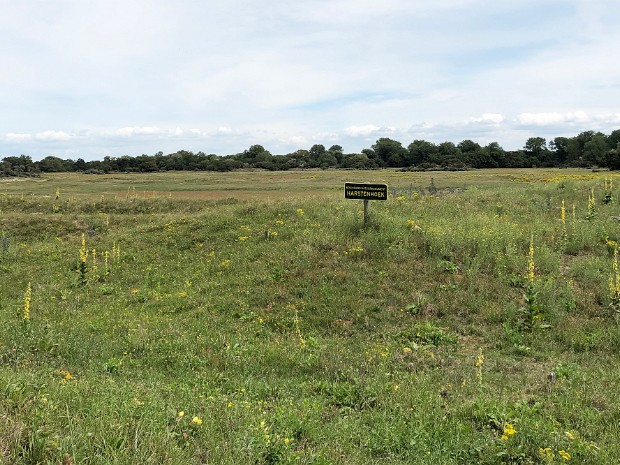 22-07-2020 Meijendel Harstenhoek