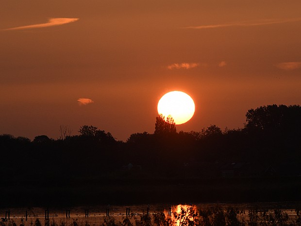 22-09-2020 Vogelplas Starrevaart