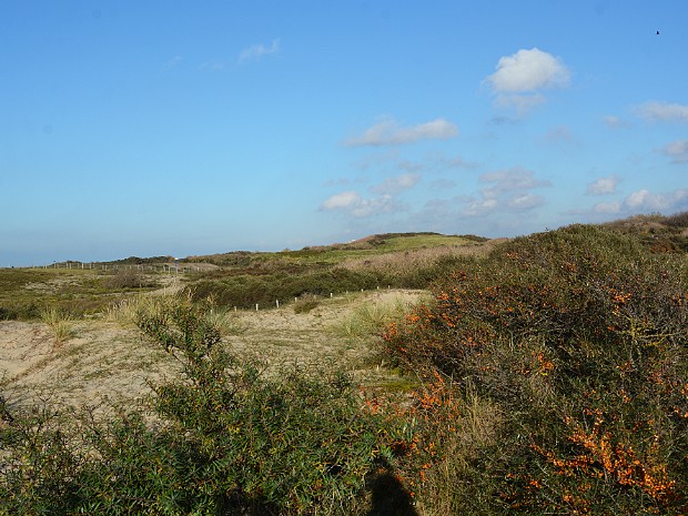 23-10-2020 Solleveld - Zandmotor
