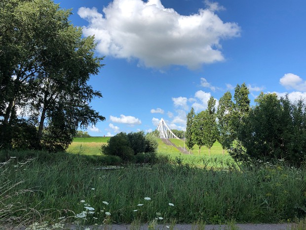 Libellenreservaat Zoetermeer