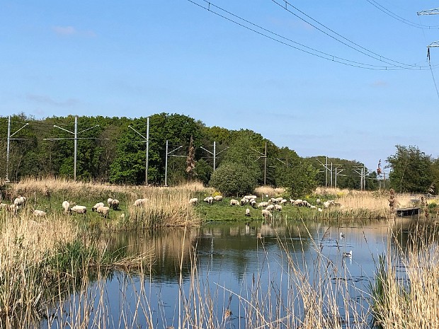 Natuur 2020-04