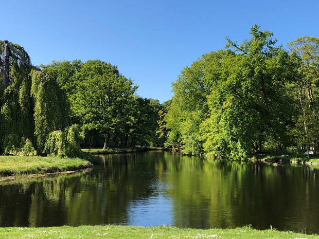 Natuur 2020-05