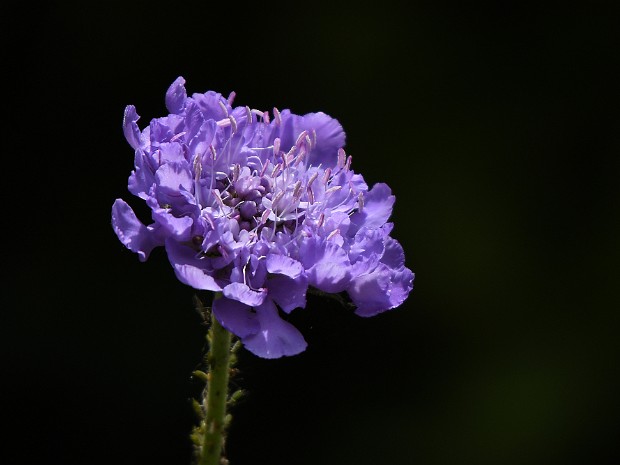 Natuur 2020-06