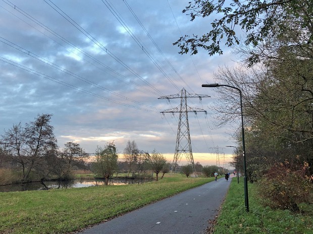 Natuur 2020-11