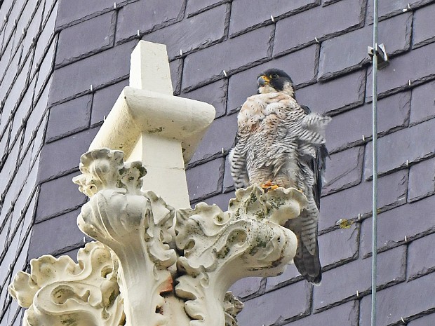 01-08-2021 Voorschoten