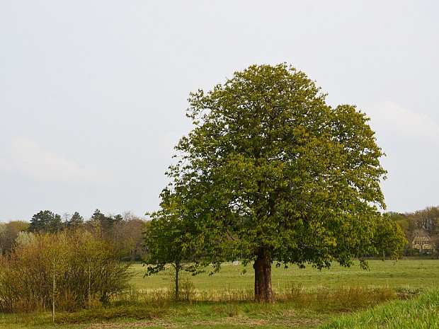 03-05-2021 Voorlinden
