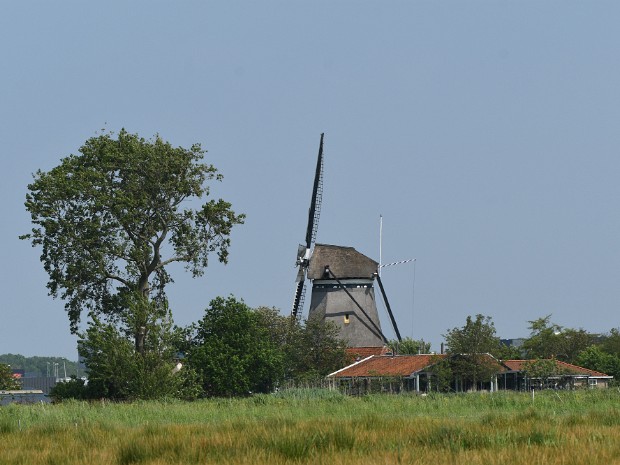 03-06-2021 Ackerdijkse Plassen