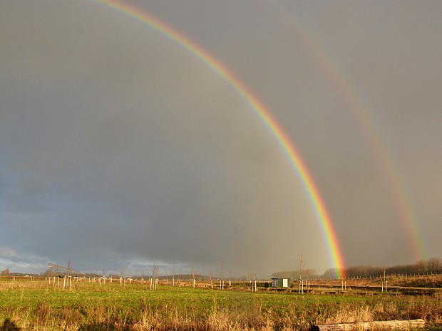 09-01-2021 Ransuilen en Regenboog