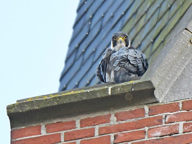 09-10-2021 Wassenaar Dorp en Lentevreugd