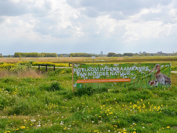 12-05-2021 Eendragtspolder Zevenhuizen