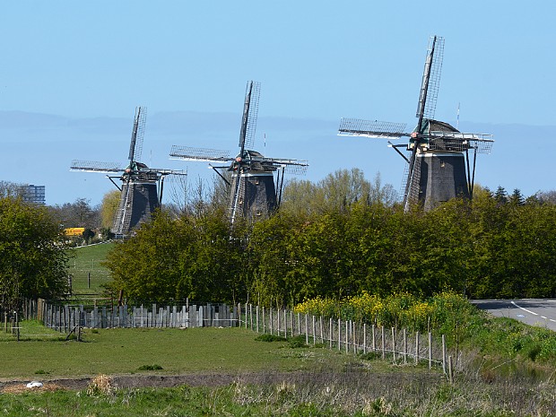 22-04-2021 Nieuwe Driemanspolder