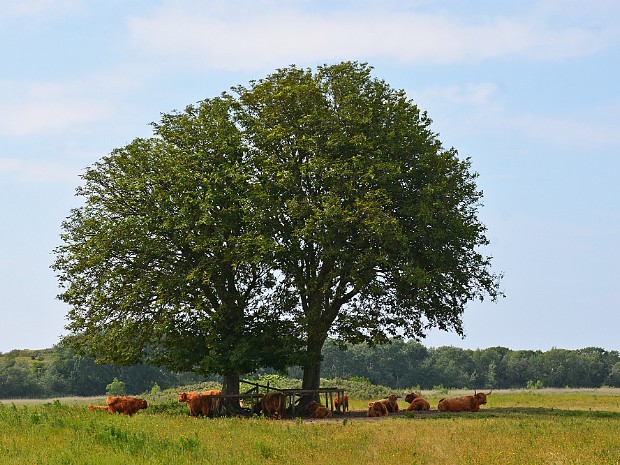 22-06-2021 Lentevreugd