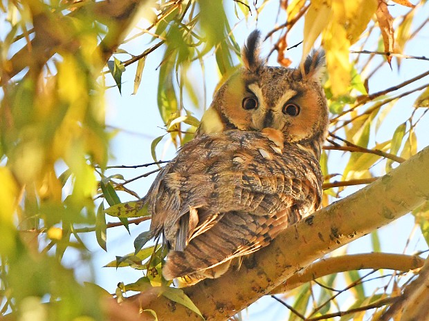 24 en 25-11-2021 Zoetermeer Natuur