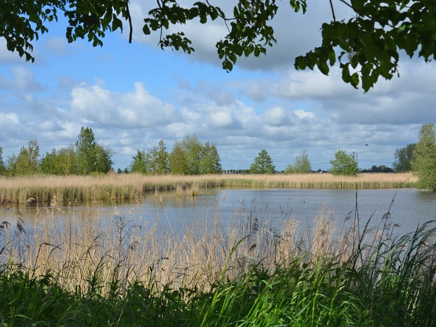 27-05-2021 Zevenhuizen