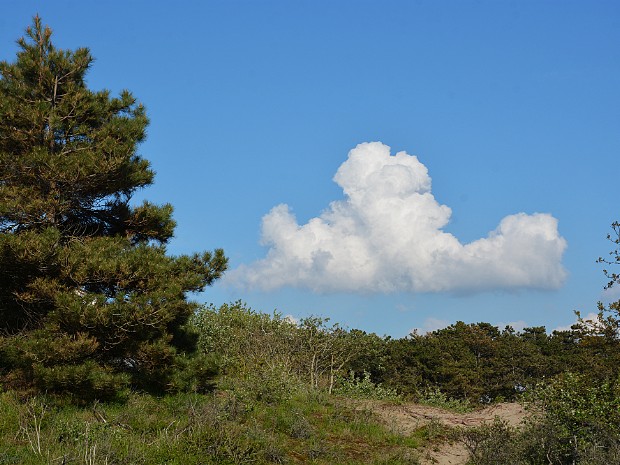 28-05-2021 Ganzenhoek