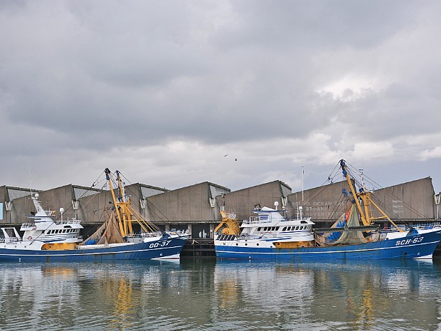 28-11-2021 Scheveningen Binnen- en Buitenhaven