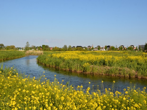 30-05-2021 Berkel Groenzoom