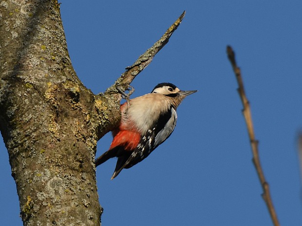 Natuur 2021-02