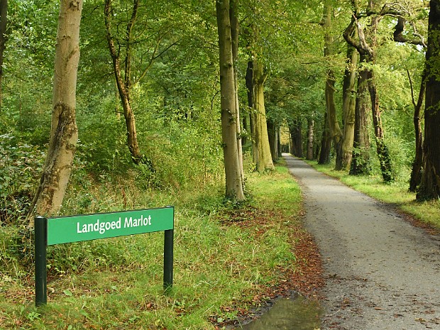 Natuur 2021-10