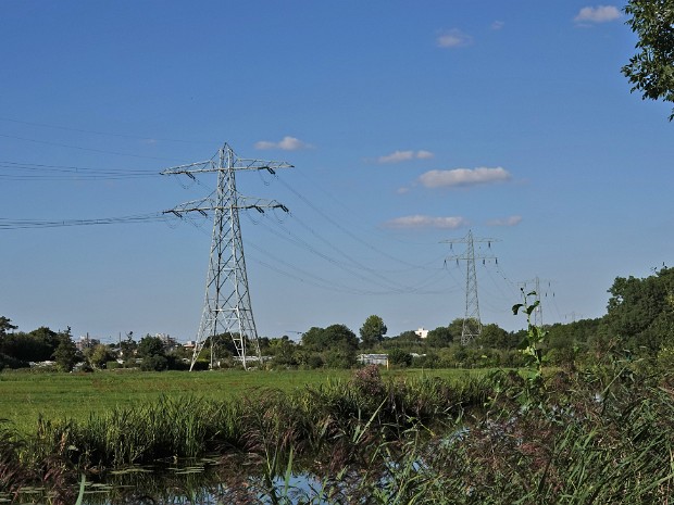 01-09-2022 Boomvalk Voorschoten 2