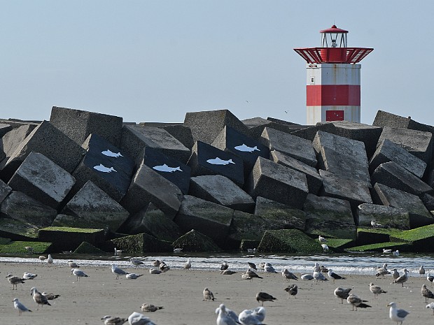 06-09-2022 Noorderhavenhoofd
