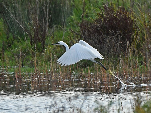 15-10-2022 N3MP Noord