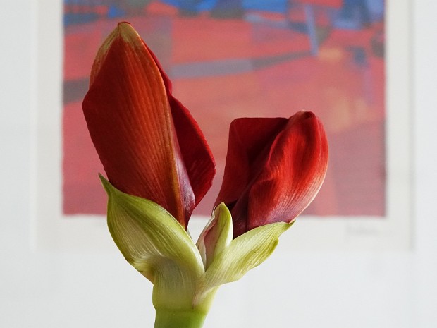 Natuur 2022-03