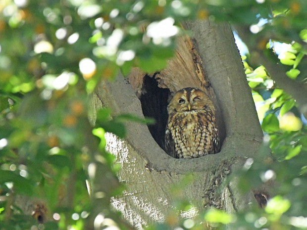 Natuur 2022-08