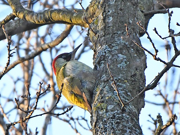 01-03-2023 Meer en Bosch