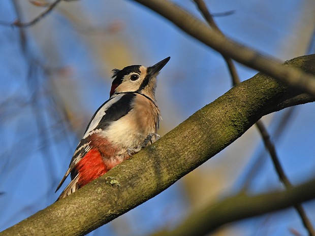 13-02-2023 Meer en Bosch