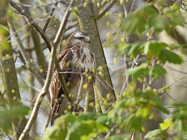 14-04-2023 Meer en Bosch