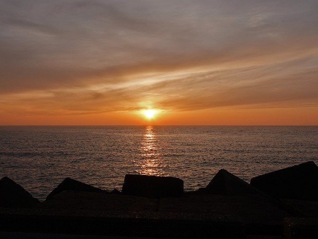 15-02-2023 Meer en Bosch en ZHH