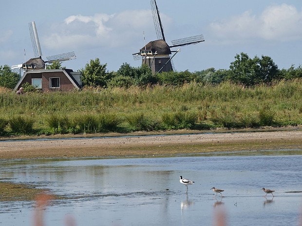 26-06-2023 Polderrondje en Meijendel