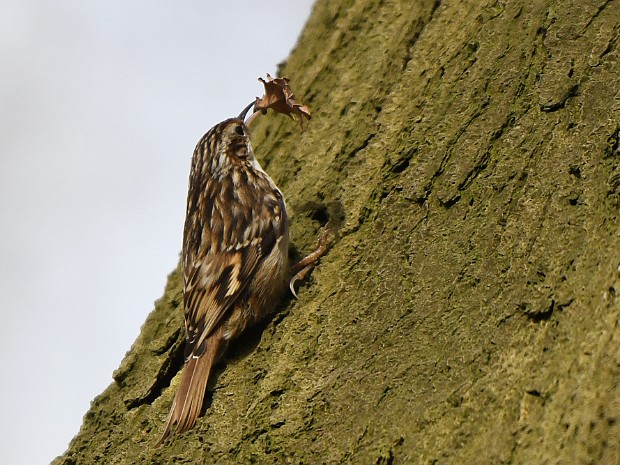 30-03-2023 Meer en Bosch