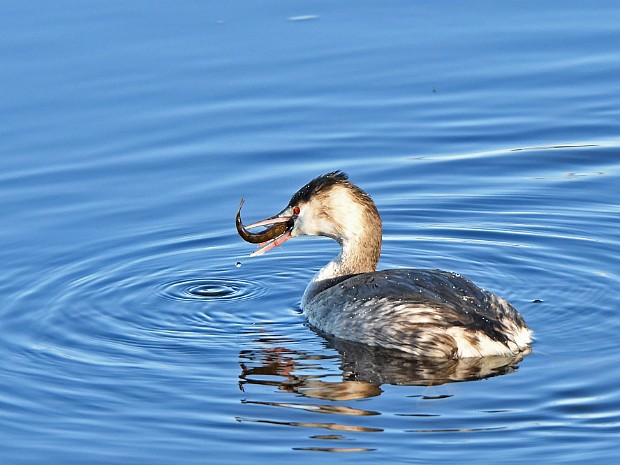 Natuur 2023-01