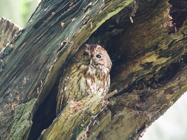 Natuur 2023-05