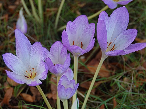 Natuur 2023-09